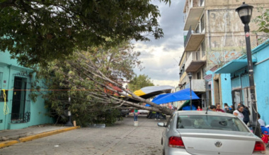 Gobierno del Estado despliega operativo por árboles caídos y encharcamientos en la Zona Metropolitana de Oaxaca