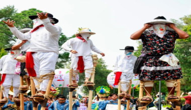 Oaxaca llega a los Pinos para México y el mundo