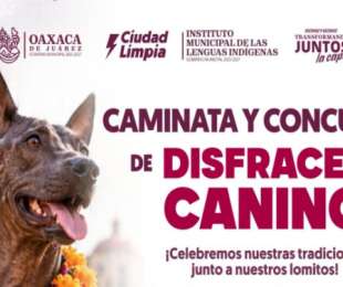 Oaxaca de Juárez invita a participar en caminata y concurso de disfraces caninos por el Día de Muertos