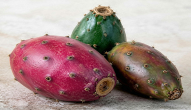 Oaxaca, segundo productor nacional de pitaya con más de mil 492 toneladas en 2024